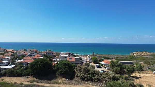 חבצלת השרון חוף הזהב