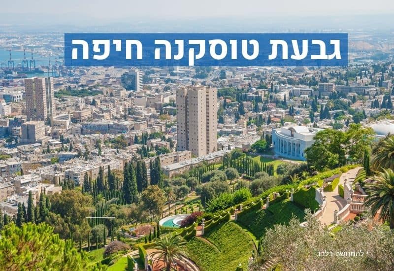 גבעת טוסקנה חיפה מורדות הכרמל קרקע
